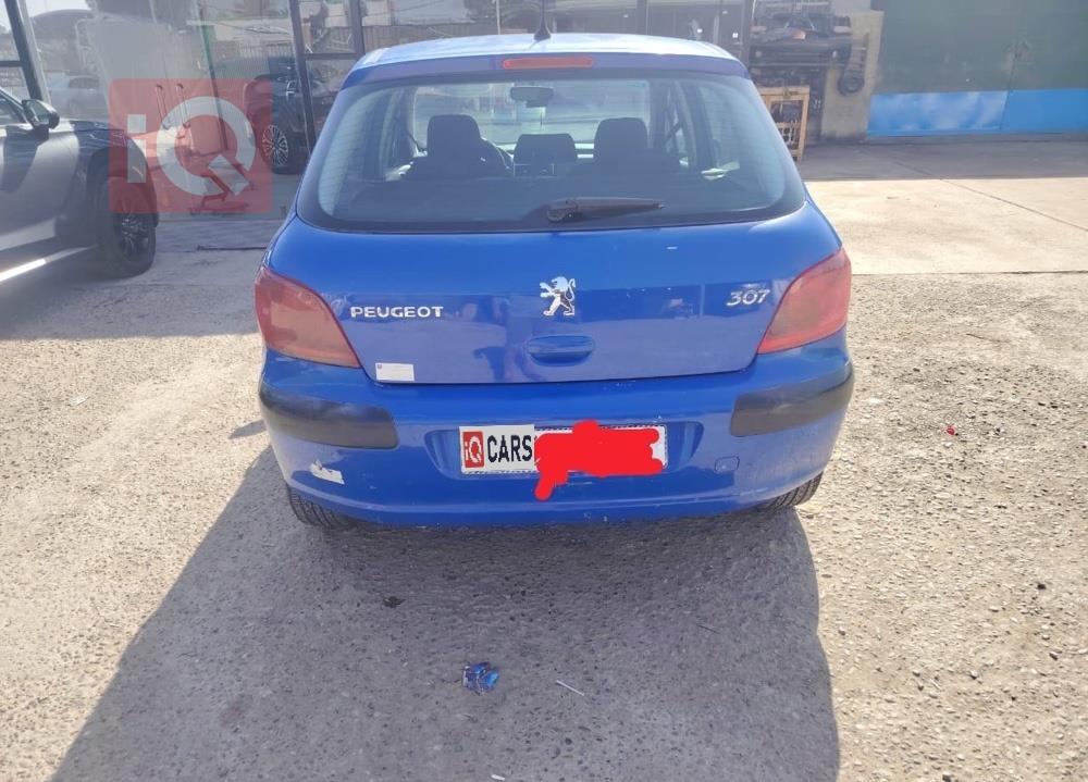 بيجو 307